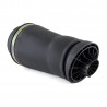 MOLLA AD ARIA POSTERIORE CLASSE R W251 MERCEDES A-2597