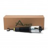 Ammortizzatore Nuov Sinistro Aria - 02-10 Audi A8 w / Sospensione normale
