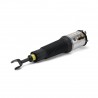 Ammortizzatore Nuov Sinistro Aria - 02-10 Audi A8 w / Sospensione normale